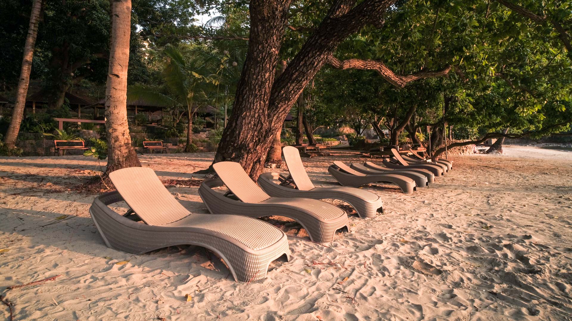 La Jolla Luxury Beach Resort Beach Area