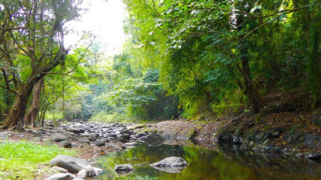 La Jolla Luxury Beach Resort and Bataan National Park